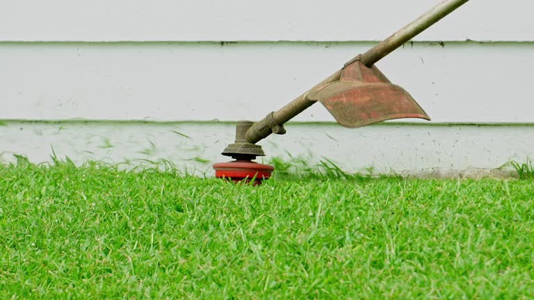 Best Lawn Drainage Solutions  in Riverdale, GA