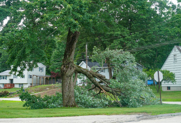 Best Lot and Land Clearing  in Riverdale, GA