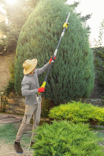 Best Lawn Watering Services  in Riverdale, GA